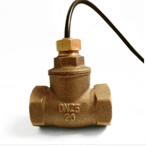 FS-1C 黃銅流量開關